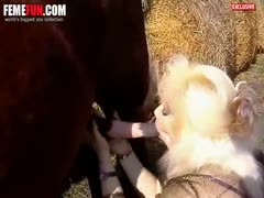 I love having sex with horses outside since I have a strong sexual desire.